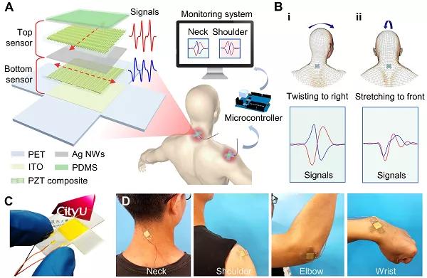 香港城大楊征保課題組Science子刊：一種新型柔性壓電陶瓷剪紙，用于預防關節(jié)疾病